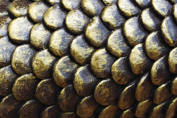 texture of fish scales © JJIMAGE