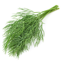 Green dill isolated on white background. Studio macro