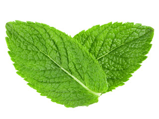 Two mint leaves