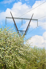 High-voltage power line over a blossoming garden