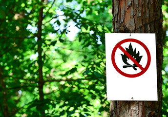 Sign on tree in forest - Prohibited fire concept - 41505838