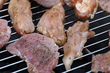 barbecue with delicious grilled meat on grill