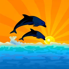 Foto op Canvas dolfijnsprong met zonsondergangachtergrond © djapart