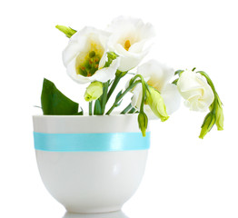 beautiful spring flowers in vase isolated on white
