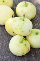Naklejka na ściany i meble fresh apples in the garden
