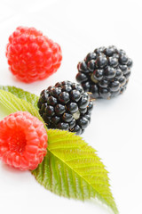 Berry fruits