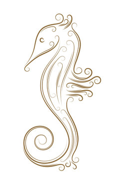 Sketch of sea horse