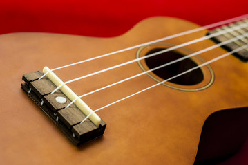 Vintage ukulele on red background