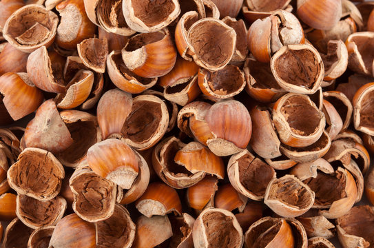 Sfondo di gusci di nocciole