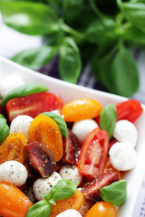 tomato and mozzarella salad