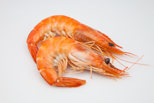 dos langostinos