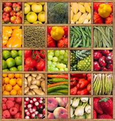 Fototapeta premium kolekcja owoców i warzyw 08