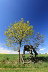 Hochsitz