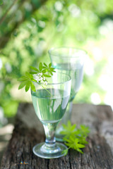Waldmeister