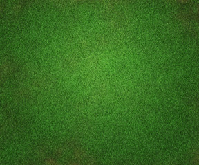Grass Texture Background