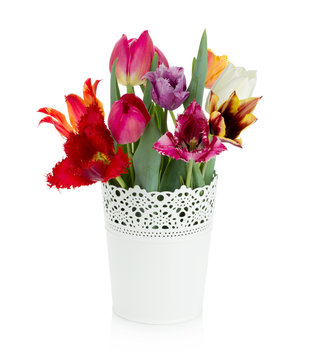 Multi colored tulips in flowerpot