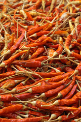 Dry red pepper