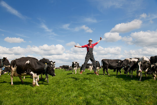 Happy Farmer In Field With Cows