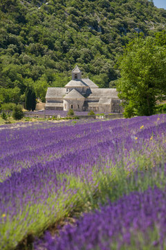 Abbaye de S&egrave;mAbbaye de S&egrave;mamque Francia