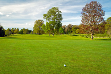 Fototapeta premium Golf ball on beautiful golf course