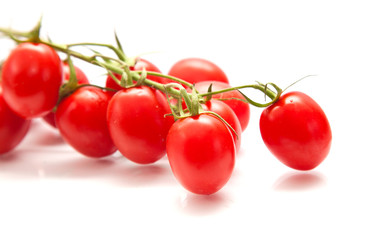 plum tomatoes on the vine