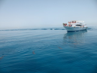 Катер с отдыхающими в море