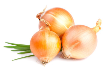 Three Fresh bulbs of onion and Fresh Scallions isolated on a whi