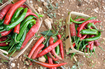 piments 1