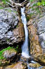 nasswaldfall