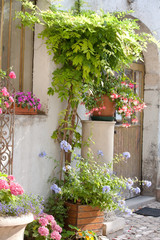 Fototapeta premium ładne podwórko z kwiatami