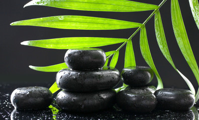 Fototapeta na wymiar Spa stones with drops and green palm leaf on black background