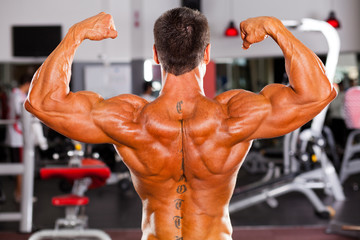 rear view of male bodybuilder
