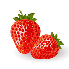 Vector illustration of red strawberries