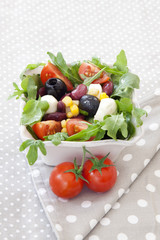 Obraz na płótnie Canvas vegetable salad with mozzarella