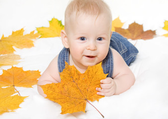Little boy and maple leaf