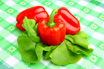 Delicious tasty red paprika with fresh lettuce