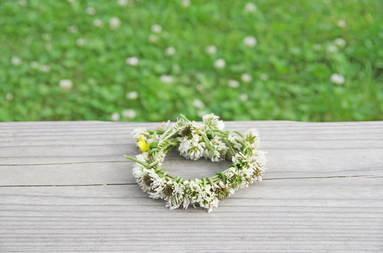 a wreath of white clovers
