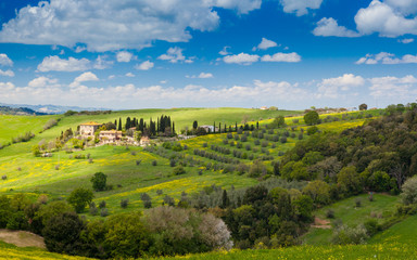 Fototapeta na wymiar Widok na typowy krajobraz Toskanii w czasie Wiosny