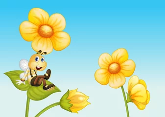 Foto auf Alu-Dibond Biene auf einer Blume © GraphicsRF