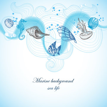 Sea background, marine fauna hand drawn elements