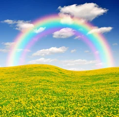 Fotobehang Spring landscape with rainbow © vencav