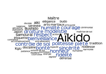Web Art Design AIKIDO TAG CLOUD NUAGE  30