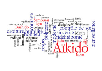 Web Art Design AIKIDO TAG CLOUD NUAGE  100