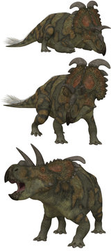 Albertaceratops