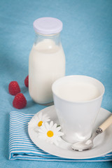 Healthy nutrition with fresh milk in a white cup.