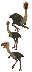 Obraz premium Phorusrhacos