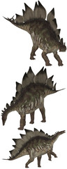 Stegosaurus