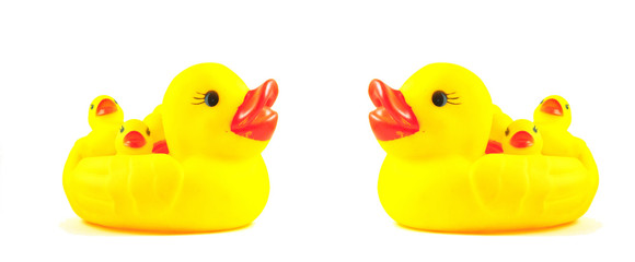 two yellow duck toy isolated on white