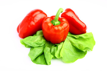 Delicious tasty red paprika with fresh lettuce