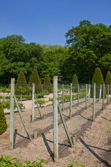 Fototapeta na wymiar Preparation of the vegetables garden